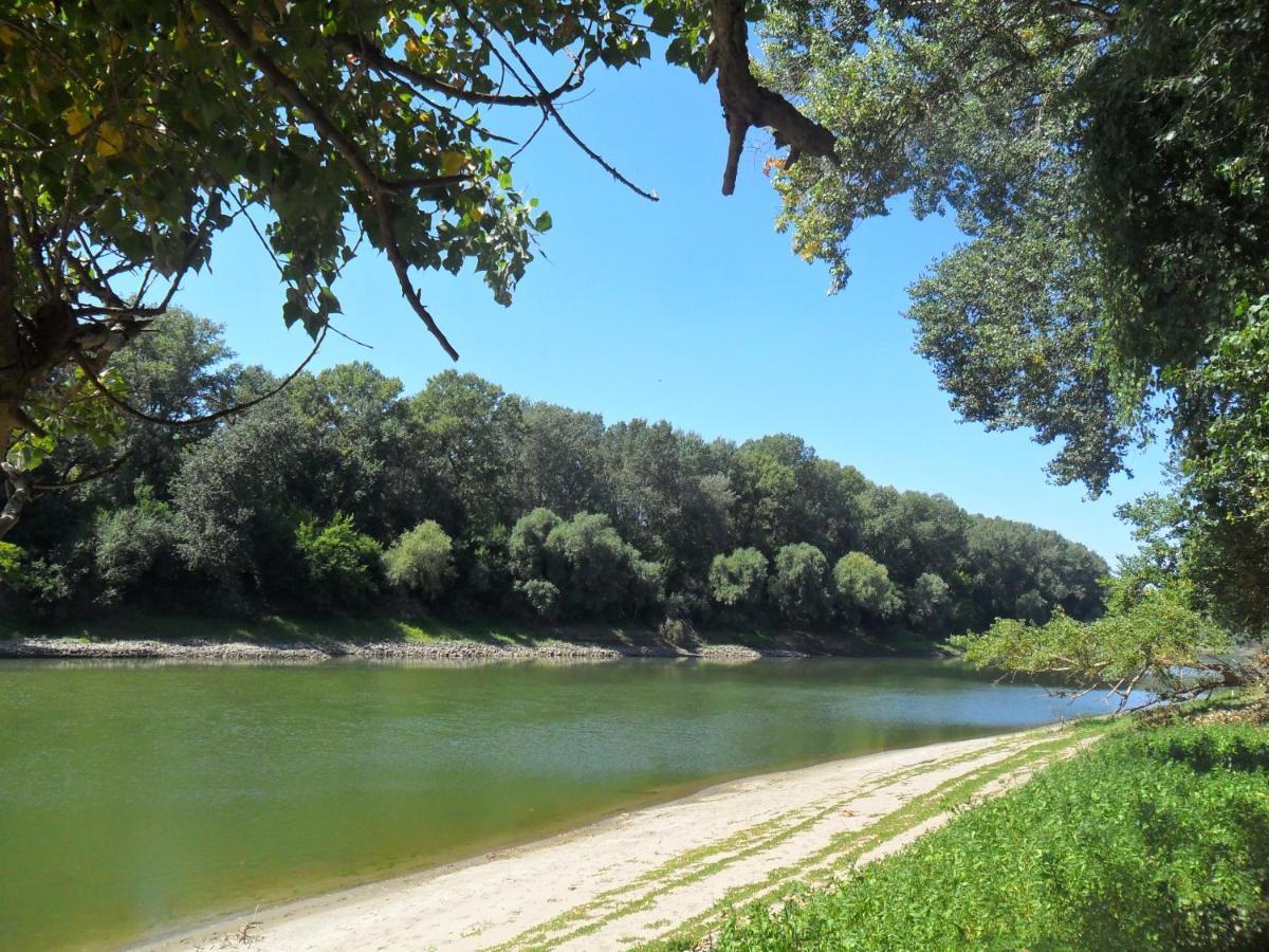 Elo Tisza Vendeghaz Hotel Nagykoru Bagian luar foto