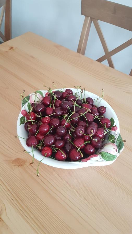 Elo Tisza Vendeghaz Hotel Nagykoru Bagian luar foto