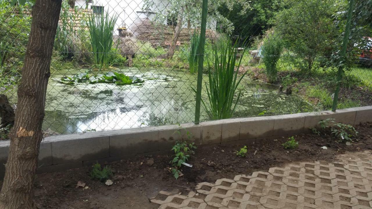 Elo Tisza Vendeghaz Hotel Nagykoru Bagian luar foto