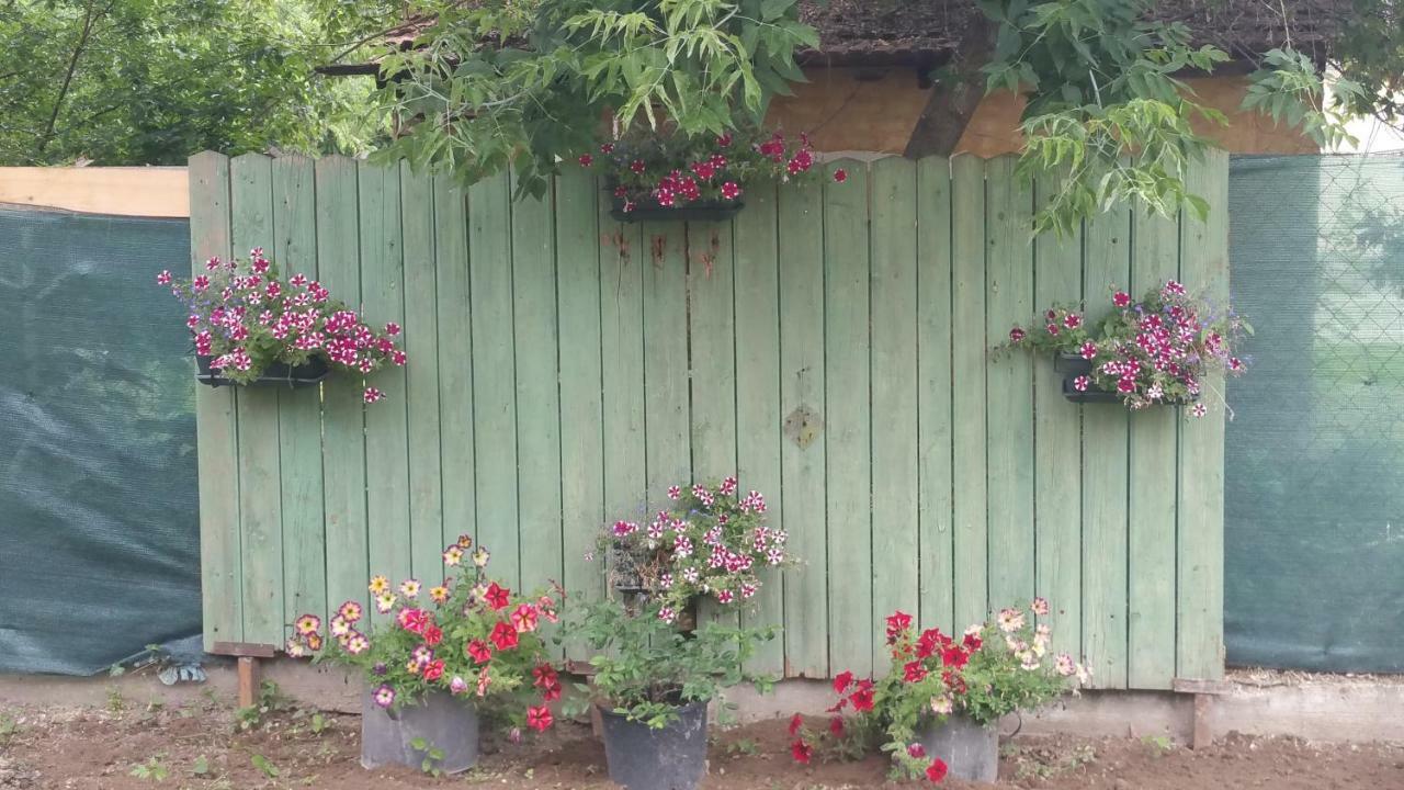 Elo Tisza Vendeghaz Hotel Nagykoru Bagian luar foto